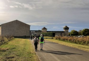 Tour Wandern Saint-Romain-la-Virvée - Asques - Photo