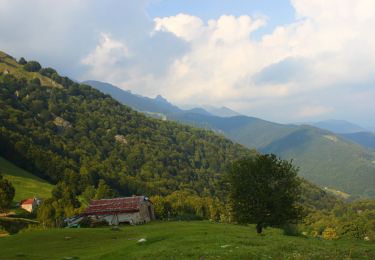 Tocht Te voet Introbio - Sentiero 25: Introbio - Passo del Gandazzo - Photo