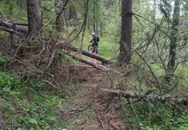 Tour Mountainbike Risoul - coupe de bois crête de Martina - Photo