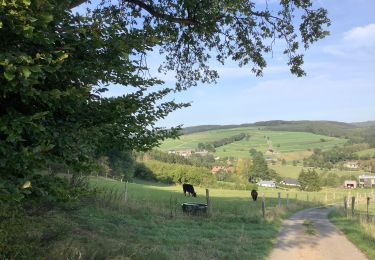 Trail Walking Saint Vith - Alfteg Ihren - Photo