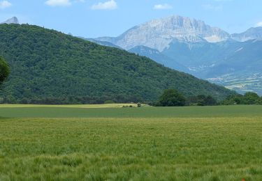 Percorso Equitazione Saint-Arey - 2025-06-03 Rando CVA Saint-Arey vers Maissenas - Photo