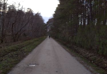 Trail Walking Ligny-le-Ribault - Bon hotel - Photo