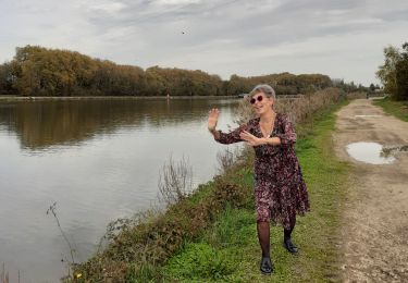 Tocht Stappen Soirans - saint jean de losne - Photo