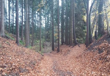 Trail Walking Malmedy - malmedy . ferme libert . tro maret . ferme libert . malmedy par les crêtes - Photo