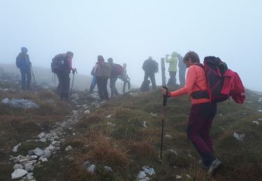 Tocht Stappen Lans-en-Vercors - Pic Saint Michel en circuit - Photo