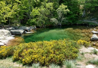 Tour Wandern Vialas - Le Mas de la barque  - Photo