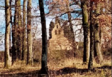 Trail Nordic walking Parisot - Boucle du chateau d’eau  Parisot - Photo