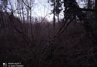 Tour Wandern Barr - château de Lansberg - Photo