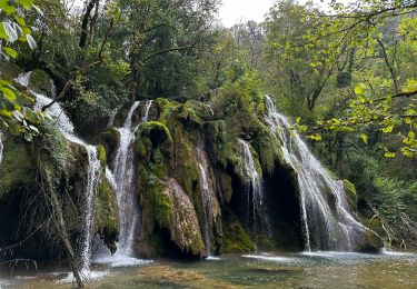 Percorso Marcia Les Planches-près-Arbois - La cascade des Tufs à Les Planches-près-Arbois - Photo