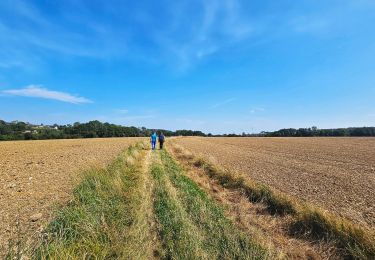 Excursión Senderismo Gesves - Marche Adeps à Gesves 2024 - Photo