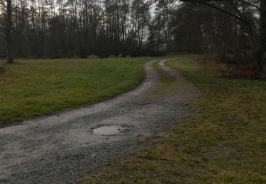 Tocht Paardrijden Métairies-Saint-Quirin - rond pré rivière etangs - Photo