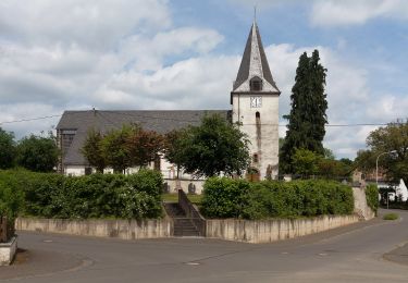 Randonnée A pied Strotzbüsch - HeimatSpur Mühlenweg Strotzbüsch - Photo