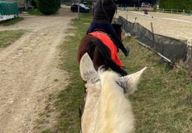 Tocht Paardrijden Bourg-lès-Valence - Télégraphe  - Photo