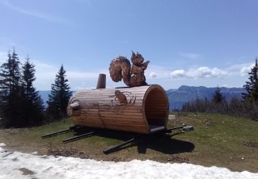 Randonnée Ski de randonnée Theys - Pipay col des oudis et ++ - Photo