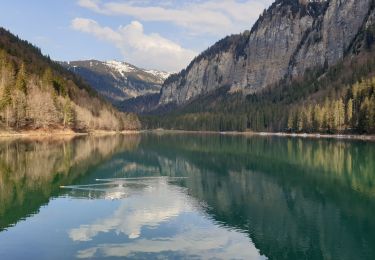 Excursión Senderismo Montriond - Cascade d'argent - lac de Montriond - Photo