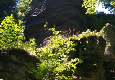 Tour Wandern Raon-l'Étape - la trouche 2022 - Photo