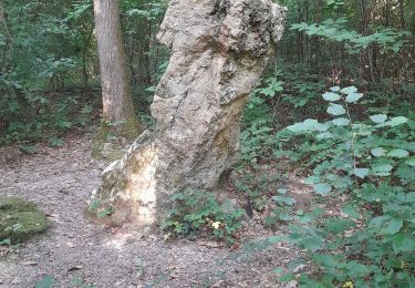 Tocht Stappen Cesson - ggggggg - Photo