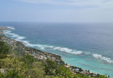 Tour Wandern La Désirade - Desirade - Plateau de la montagne - Photo