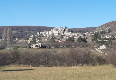 Trail Walking Banon - BANON Les Chastellas . Aven de Courtin . Hameau  ruiné  des Plaines n - Photo
