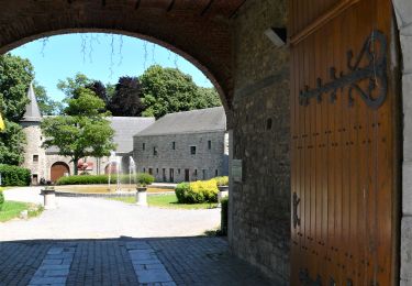 Tour Wandern Aywaille - Balade aux coquelicots digitales et fraises des bois à partir du château de Harzé - Photo