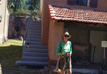 Tour Wandern Fréjus -  col du testanier mt vinaigre - Photo