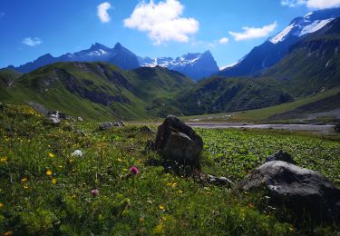 Randonnée Marche Champagny-en-Vanoise - Sentier des glaciers-Parc de la Vanoise 18 07 2020 - Photo