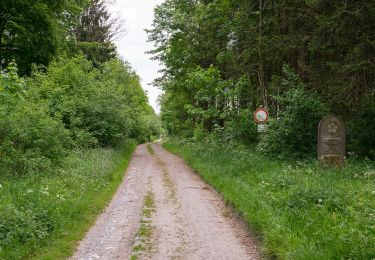 Tour Zu Fuß Bad Lippspringe - Wanderroute A7 (Bad Lippspringe) - Photo