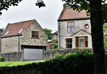 Tocht Te voet  - Mineral Valleys Walk - Escomb, Witton Park & Etherley - Photo