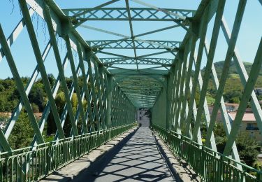 Percorso A piedi Mur-sur-Allier - De l'Allier au Puy de Mur - Photo