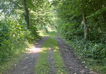 Trail sport Zandhoven - Lovenhoek - Photo