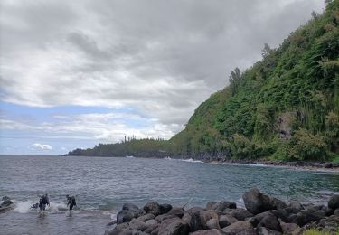 Trail Walking Sainte-Rose - La source Anse des Cascades - Photo