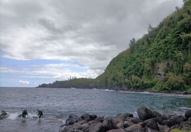 Tocht Stappen Sainte-Rose - La source Anse des Cascades - Photo