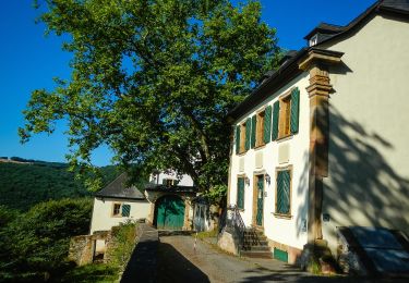 Percorso A piedi Oberhausen bei Kirn - Drei-Burgen-Weg - Photo