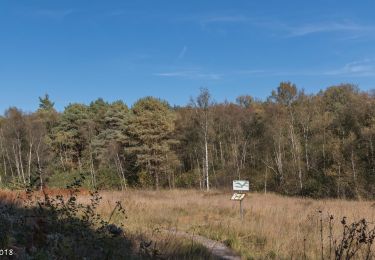 Trail Walking Bretoncelles - Bretoncelles - Senonches 24 km - Photo