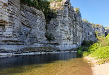 Tour Wandern Berrias-et-Casteljau - gorges de chasselas ardeche - Photo