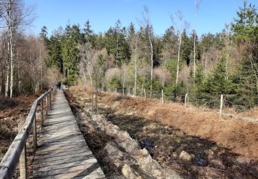 Excursión Senderismo Gedinne - La Fange de l'abîme (n°41)- Croix Scaille - Photo