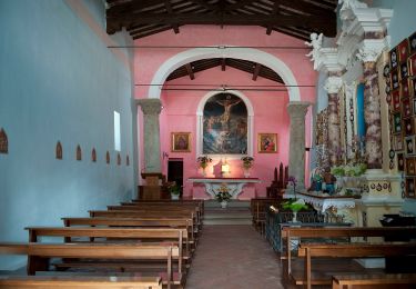 Tour Zu Fuß Gambassi Terme - Dolce campagna, antiche mura 16 - Photo