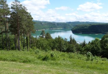 Tocht Stappen Maisod - Jura (lac de Vouglans 06-06-2019) - Photo