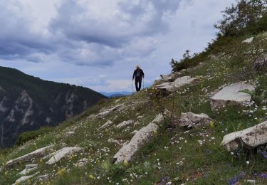 Percorso Marcia Beauvezer - Villard Heyssier_ gorges st Pierre_pont d'Ondres - Photo