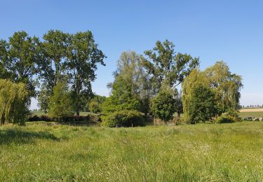 Randonnée Marche Ham-sur-Heure-Nalinnes - La promenade de Marbaix-La-Tour - Photo