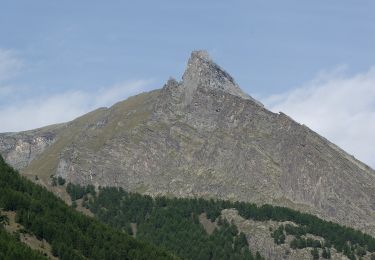 Tour Zu Fuß Cogne - Alta Via n. 2 della Valle d'Aosta - Tappa 9 - Photo