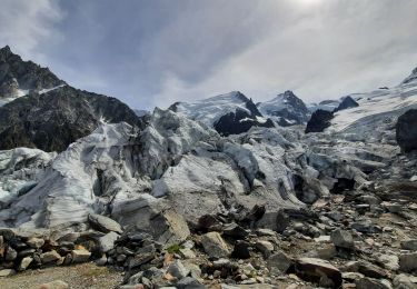 Trail Walking Chamonix-Mont-Blanc - La Jonction - Photo