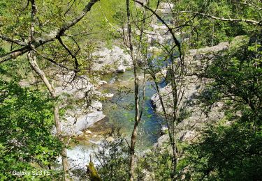 Randonnée Marche Sanilhac - Pont-du-Gua La Parot 16km. - Photo