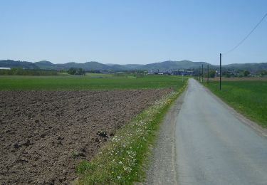 Excursión A pie Medebach - Medebach Rundweg M4 - Photo