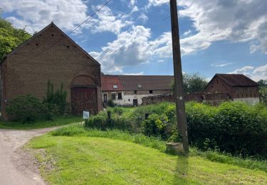 Randonnée Trail Rebecq - Tour du Brabant wallon première étape  - Photo