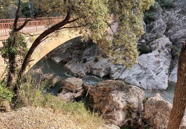 Trail Walking Les Arcs-sur-Argens - sommet des Terriers, les Arcs sur Argens, 15-11-23 - Photo