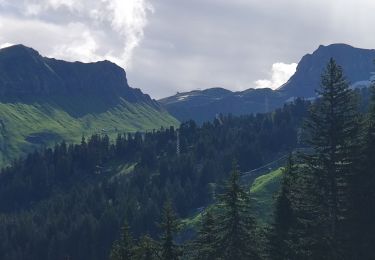 Trail Walking Arâches-la-Frasse - Col de ColonnEy et Tête de Monthieu. - Photo