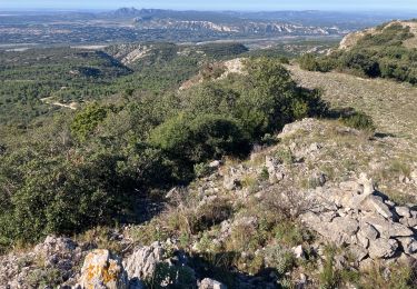 Tour Pfad Cheval-Blanc - Vidauque-Tête et Vallon des Buisses(15.5K 540D+) - Photo