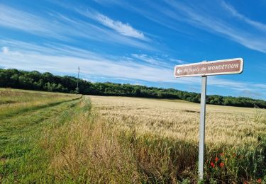 Trail Walking Naveil - Circuit au lieu-dit Bordebeure Marcilly-en-Beauce - Photo