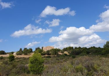 Tour Wandern Marseille - massif de l'etoile - Photo